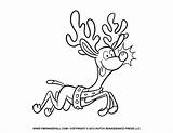 Reindeer Clipart Coloring Christmas Printable Pages Outline Rudolph Template Olive Tree Color Ornaments Kids Funny Decorations Reindeers Clip Cliparts Print sketch template