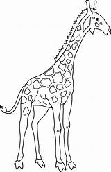 Giraffe Coloring Kids Pages Fun Color Print sketch template