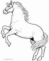 Coloring Pages Learn Horse Kuda Together Come Winter sketch template