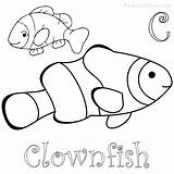 Coloring Fish Clown Pages Clownfish Printable Bubakids Visit Choose Board sketch template