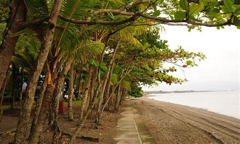 Turismo En Baybay Filipinas 2022 Opiniones Consejos E Información