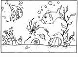 Seabed Nature Animals Coloring Fish Printable Pages Coloriage Fond Marin Kb Drawings Coloriages Printablefreecoloring sketch template