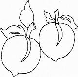 Coloring Pages Peaches sketch template