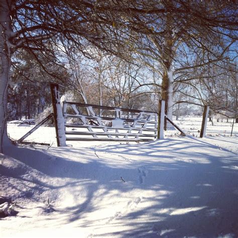 arkansas snow storm outdoor arkansas america