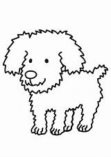 Hund Malvorlage Cane Kleurplaat Hond Disegno Kleurplaten Printen Stampare Scarica sketch template