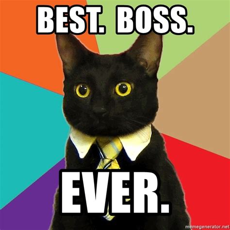 Best Boss Ever Business Cat Meme Generator