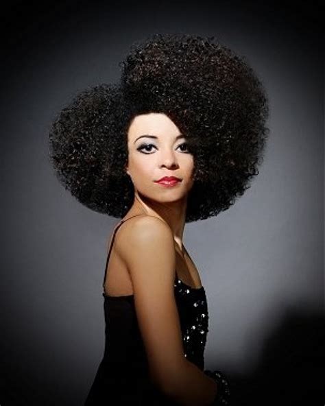 Beautiful Afro Hairstyle