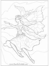 Coloring Pages Fantasy Fairy Mcfaddell Phee Enchanted Mermaid Designs Amount Largest Website She Visit Has sketch template