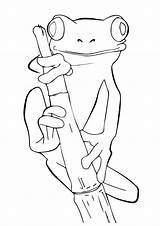 Frog Coloring Pages Tree Cute Frogs Print Printable Drawings Coqui Drawing Outline Kids Worksheets Animals Sheets Color Pencil Animal Dibujos sketch template