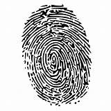 Fingerprint Transparent sketch template
