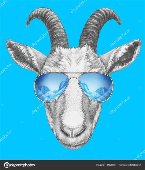 Funny Sketch Portrait Goat Aviator Sunglasses Reflection