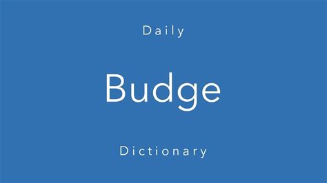 budge daily dictionary youtube