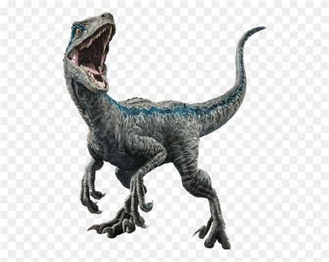 Jurassic World Raptors I Looked At Other Versions Of The Raptor That