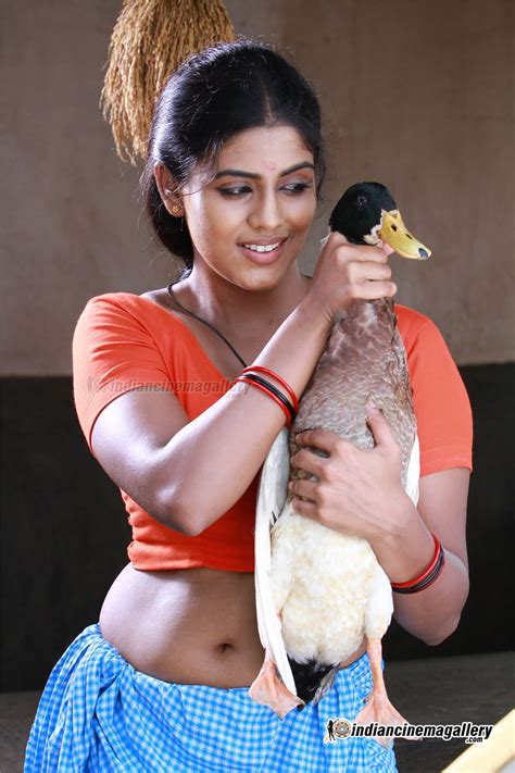 top hot and cute south indian actress wizard iniya extraordinary navel and boobs show hot hq