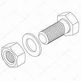 Nuts Drawing Bolt Bolts Getdrawings Coloring sketch template