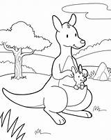 Coloring Baby Mother Pages Moms Kangaroo Raccoon Animals Coloringbay Mom Getcolorings Printable Color sketch template
