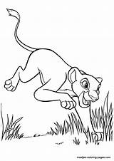 Lion King Coloring Pages Kiara Simba Pride Book Color Fluffy End Print sketch template