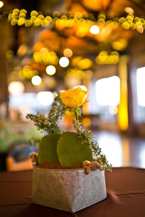 Succulents And Yellow Roses Texas Yellow Roses Western Parties