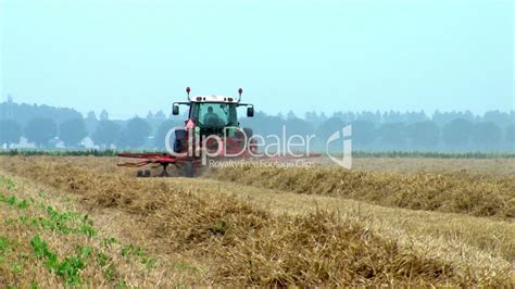harvest hay royalty  video  stock footage