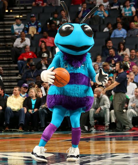 ranking the nba s mascots