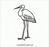 Outline Crane Bird Drawing Coloring Clipart Interesting Facts Getdrawings Sandhill Library sketch template