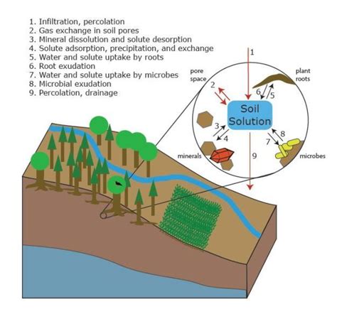 soil water  molecular structure  behavior learn science