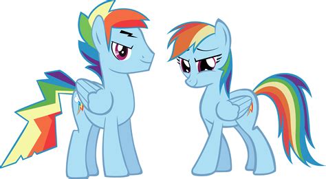 pony rainbow dash boyfriend   pony rainbow dash boy