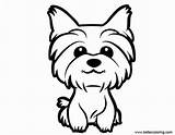Yorkie Puppy Yorkshire Terrier Poo Teacup Cachorros Yorki Breeds Colorir Cachorro Yorky Páginas Paintingvalley イラスト sketch template