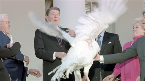 in photos us presidents pardoning turkeys