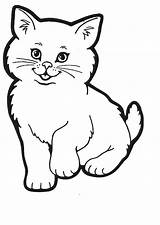 Cat Fluffy Colouring Pages Coloring Cute Boyama Hayvan Kitten Cats Color Cartoon Sheets Kitty Clipart Kittens sketch template