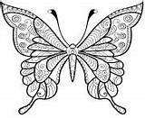 Motifs Jolis Papillon Coloriages sketch template