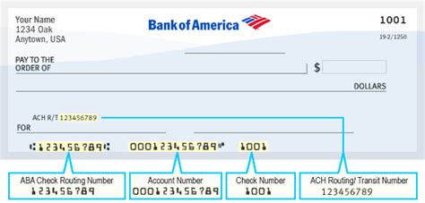 19 Boa Account Number And Tax Id Pdf 2022 Dylanbraxton