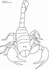 Scorpion Scorpio Scorpions Bestcoloringpagesforkids Coloringbay Coloriages sketch template