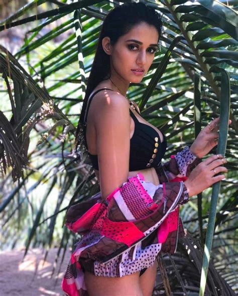 25 Best Disha Patani Hot Images And Bikini Pics Will Take Your Breath Away