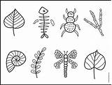 Fossil Fossils sketch template
