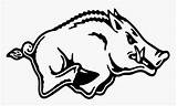Razorback Arkansas Hog Razorbacks Coloring Clip Pages Kindpng sketch template