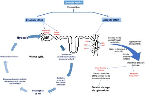 contrast induced acute kidney injury review  practical update ramez morcos michael