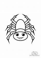 Spinne Malvorlagen Tiere Vorschau sketch template