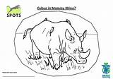 Zuma President Rhino Jacob Poaching Dear sketch template
