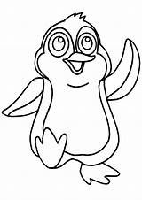 Pingouin Animaux Imprimer Coloriages Dessins Des Pinguin Quoet Magnifique sketch template