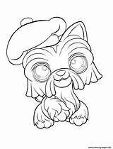 Coloring Pet Shop Littlest Pages Dog Printable Print Cartoon sketch template