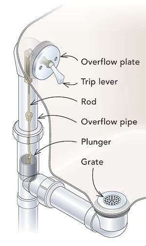 anatomy   bathroom drain  drain  primagemorg