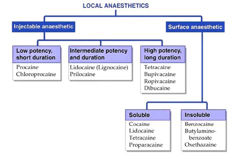 classification  local anesthetics pharmacy freak