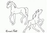 Foal Coloring Spirit Pages Lineart Abosz007 Foals Dreamworks Comments Deviantart Coloringhome Template sketch template