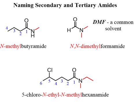 amide examples