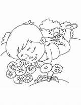 Cornflower Coloring Beside Sleeping sketch template