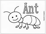 Insect Ant Easypeasyandfun Insects Peasy Grasshopper Kidsworksheetfun sketch template