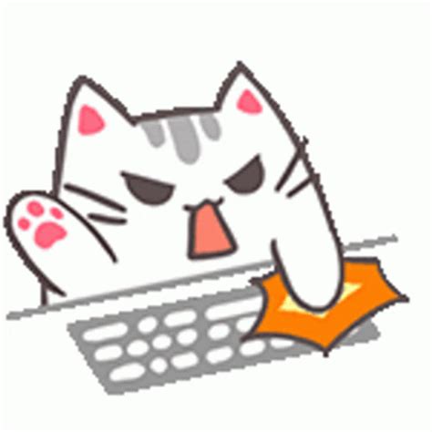 irritated cat typing  keyboard gif gifdbcom