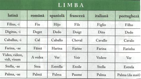 latin language  written   languages