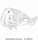 Cuttlefish Illustration Bannykh Rf Designlooter sketch template